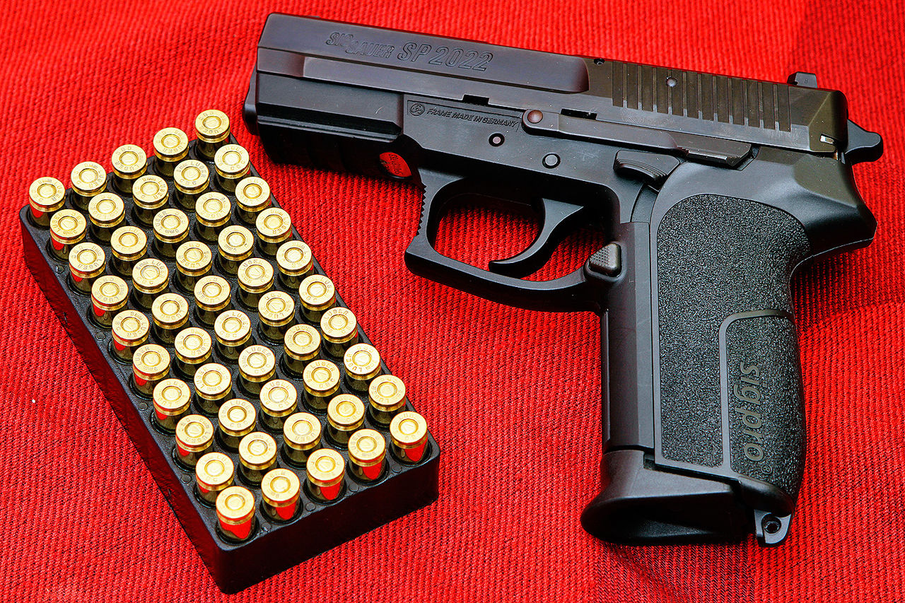 SIG Pro Technical Specifications and Dimensions