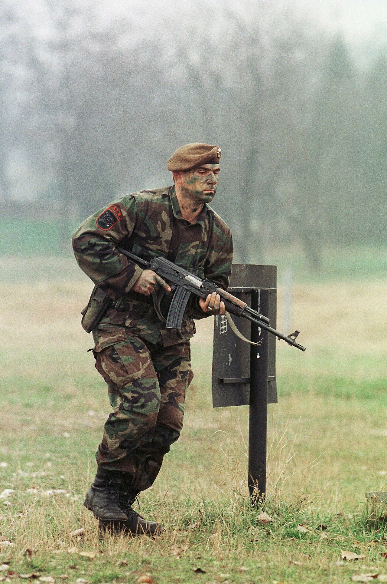Zastava M90 Technical Specifications and Dimensions